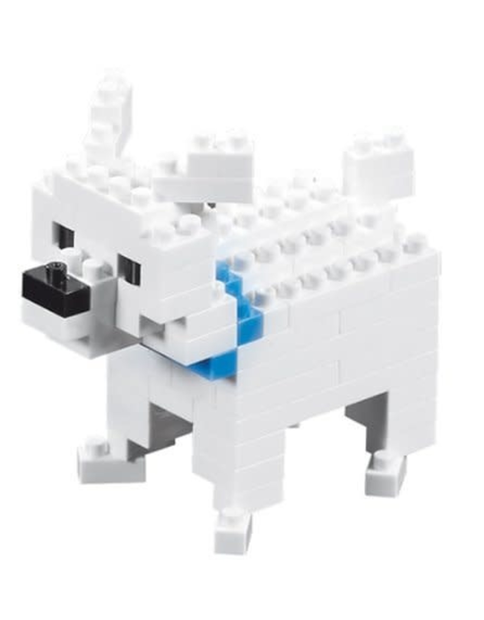 Brixies Brixies Hond