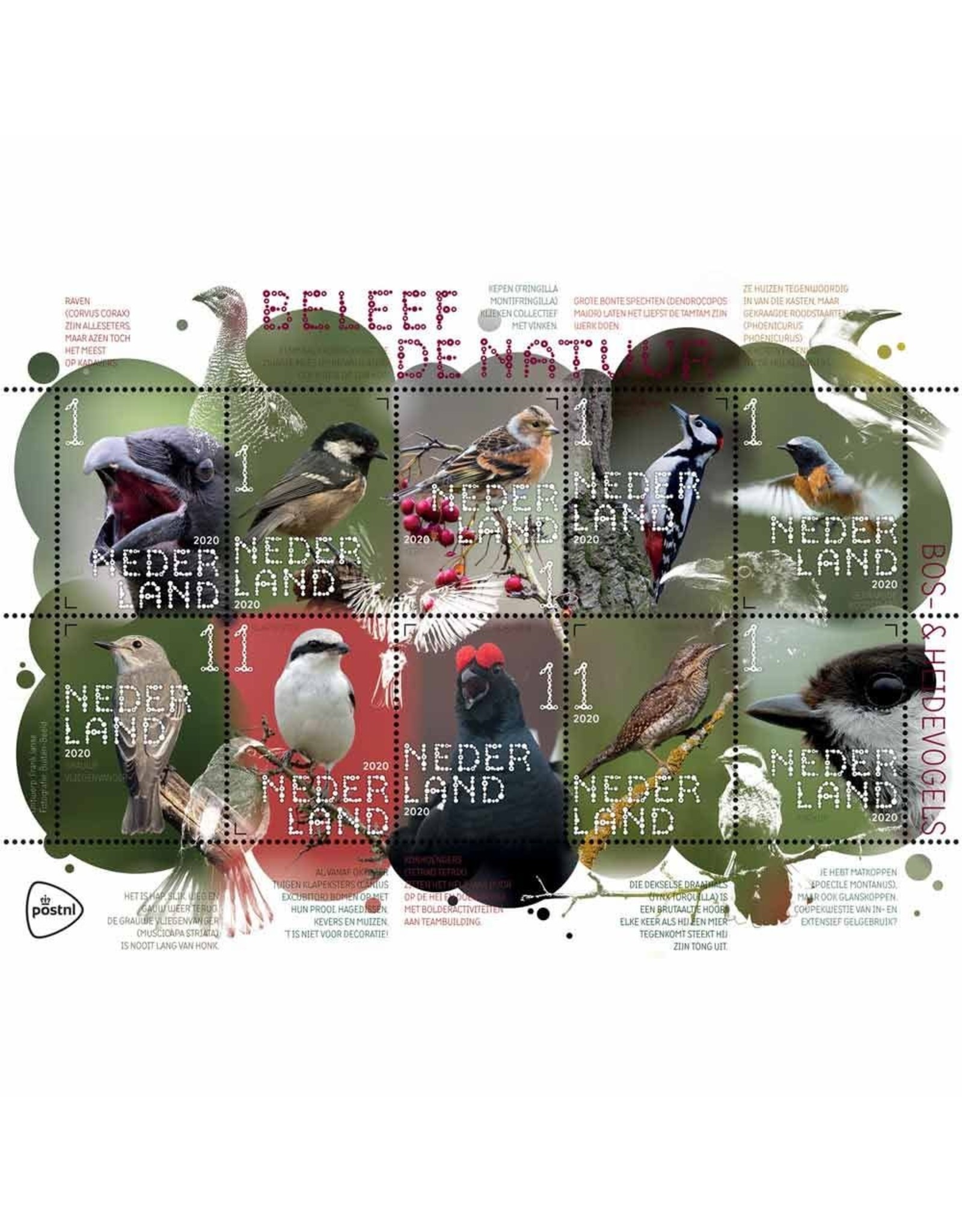 PostNL Postzegel vel 10  stuks 1 Bos- en Heidevogels Beleef de natuur