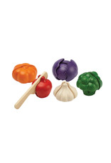 Plan Toys Plan Toys 5 Colors Veggie Set – Groenteset 5 Kleuren (6-delig)