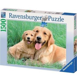 Ravensburger Ravensburger puzzel 162185  Retriever Familie 1500 stukjes