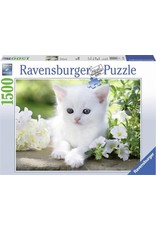 Ravensburger Ravensburger puzzel 162437  Witte Kitten 1500 stukjes