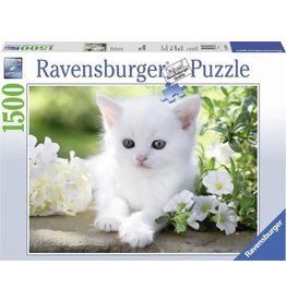 Ravensburger Ravensburger puzzel 162437  Witte Kitten 1500 stukjes