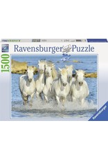 Ravensburger Ravensburger puzzel 162857 Spetterende Verfrissing 1500 stukjes