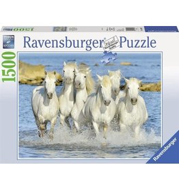 Ravensburger Ravensburger puzzel 162857 Spetterende Verfrissing 1500 stukjes