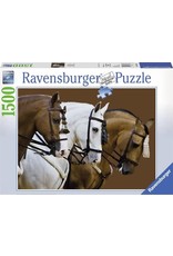 Ravensburger Ravensburger puzzel  163397 Elegante Paarden 1500 stukjes