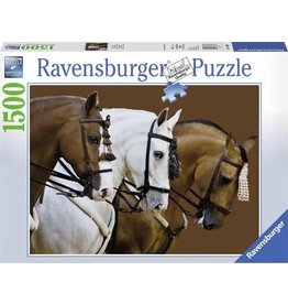 Ravensburger Ravensburger puzzel  163397 Elegante Paarden 1500 stukjes