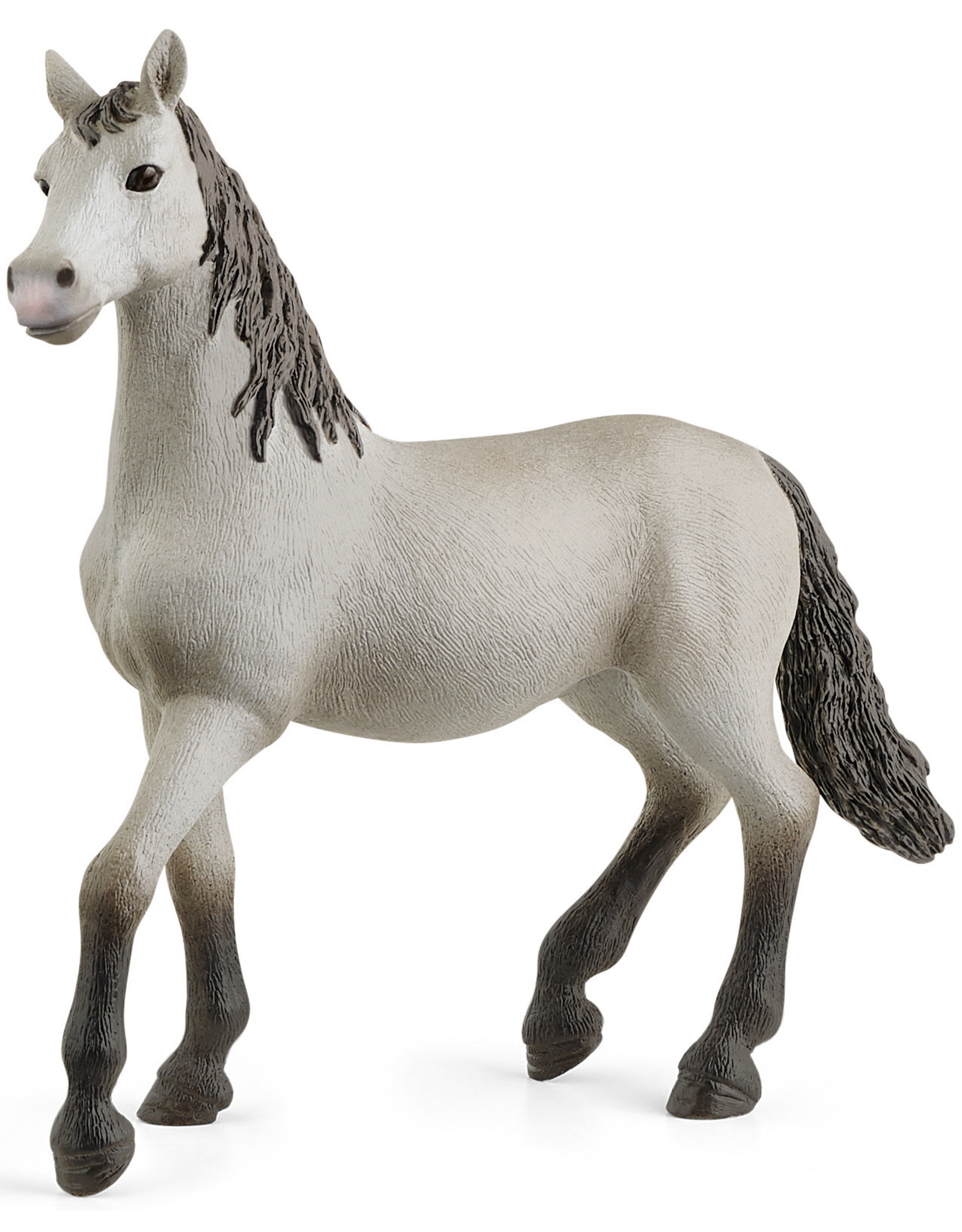 Schleich Schleich Horse Club 13924 Andalusier Veulen