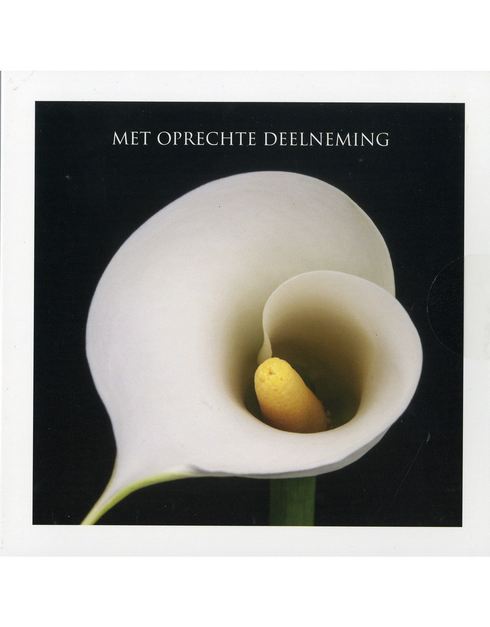 Multipack Deelneming