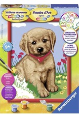 Ravensburger Schilderen op Nummer 281244 Jeune Golden Retriever / Kleine Vriend