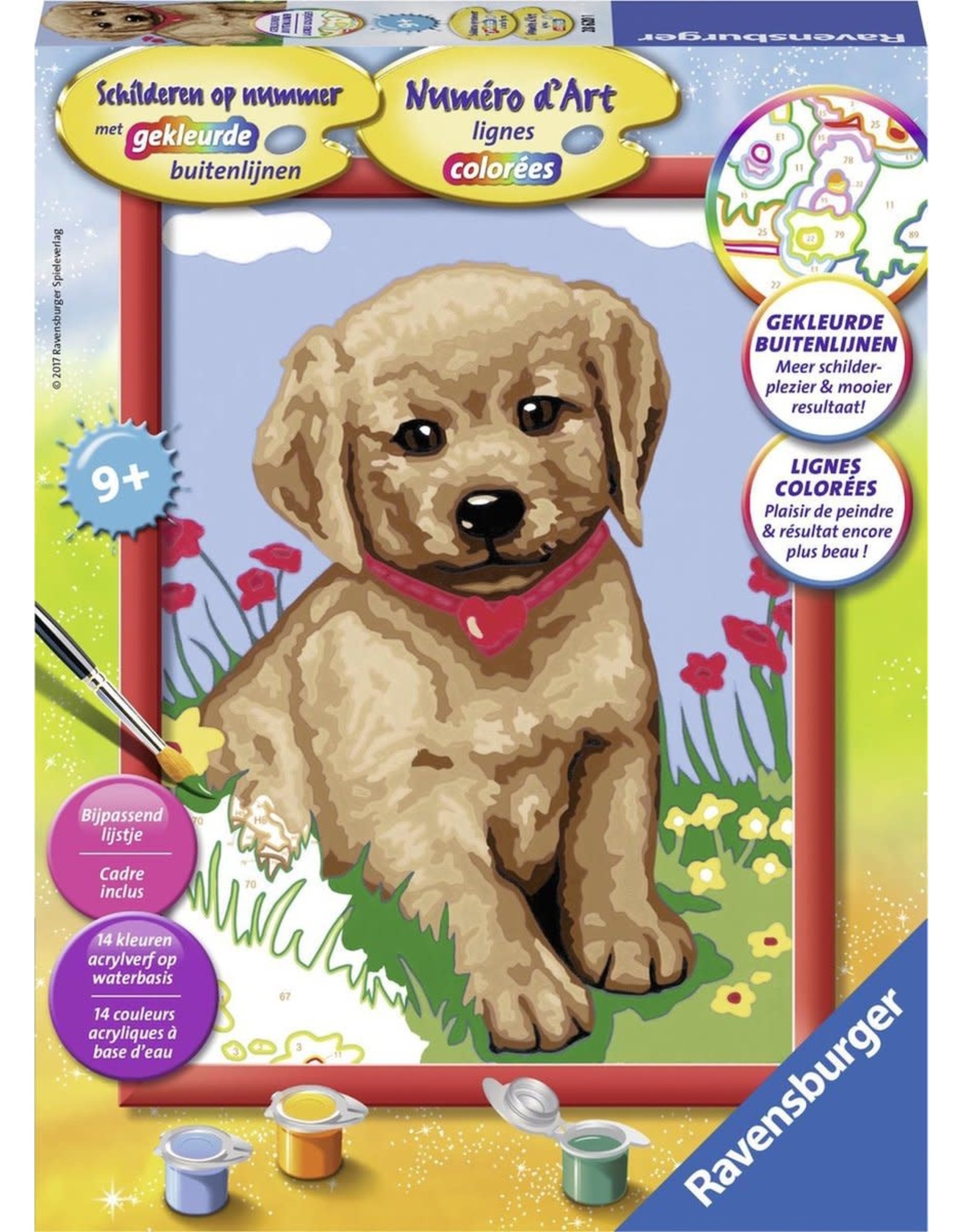 Ravensburger Schilderen op Nummer 281244 Jeune Golden Retriever / Kleine Vriend