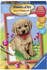 Ravensburger Schilderen op Nummer 281244 Jeune Golden Retriever / Kleine Vriend