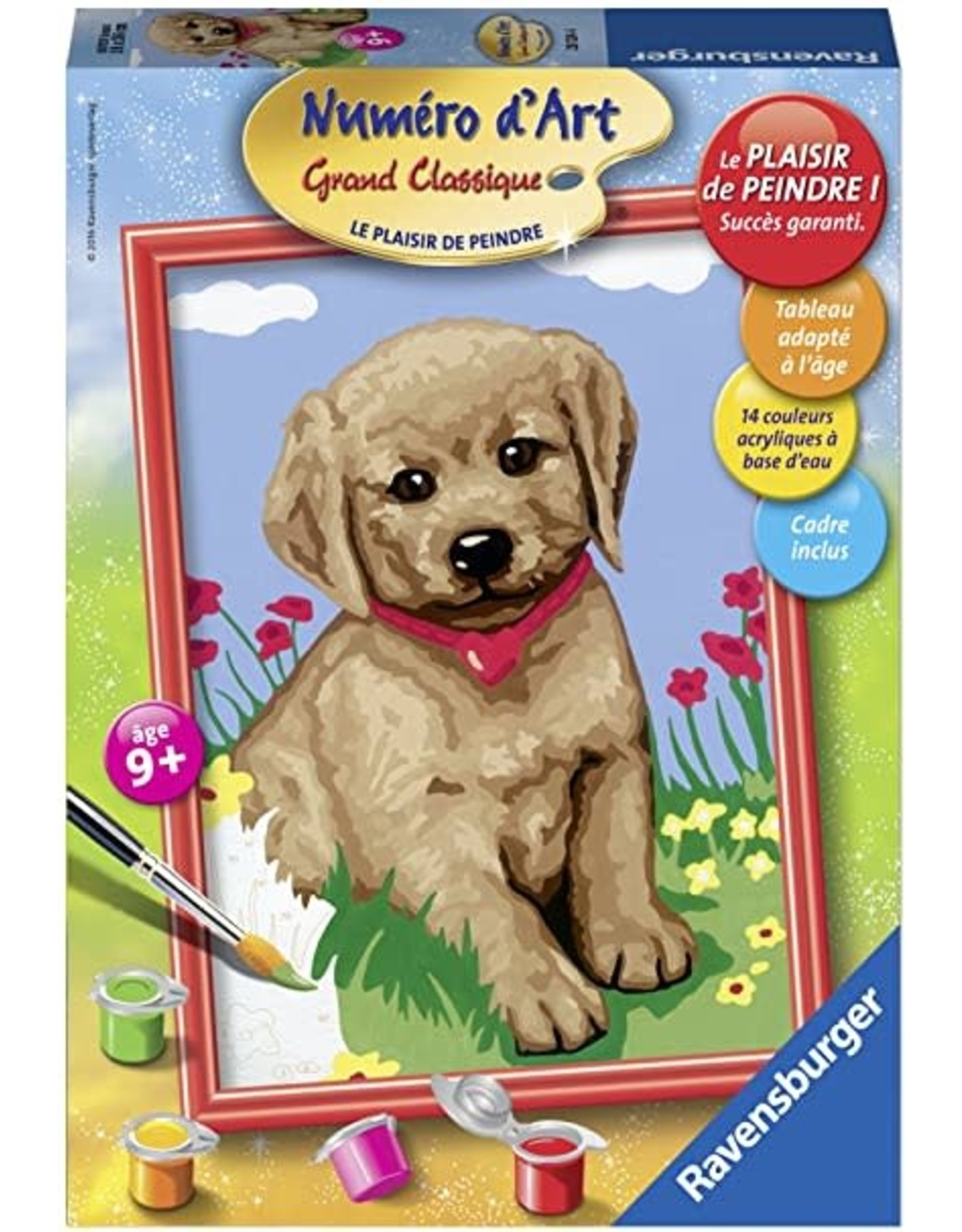 Ravensburger Schilderen op Nummer 281244 Jeune Golden Retriever / Kleine Vriend