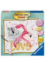 Ravensburger Schilderen op nummer 287970 Love