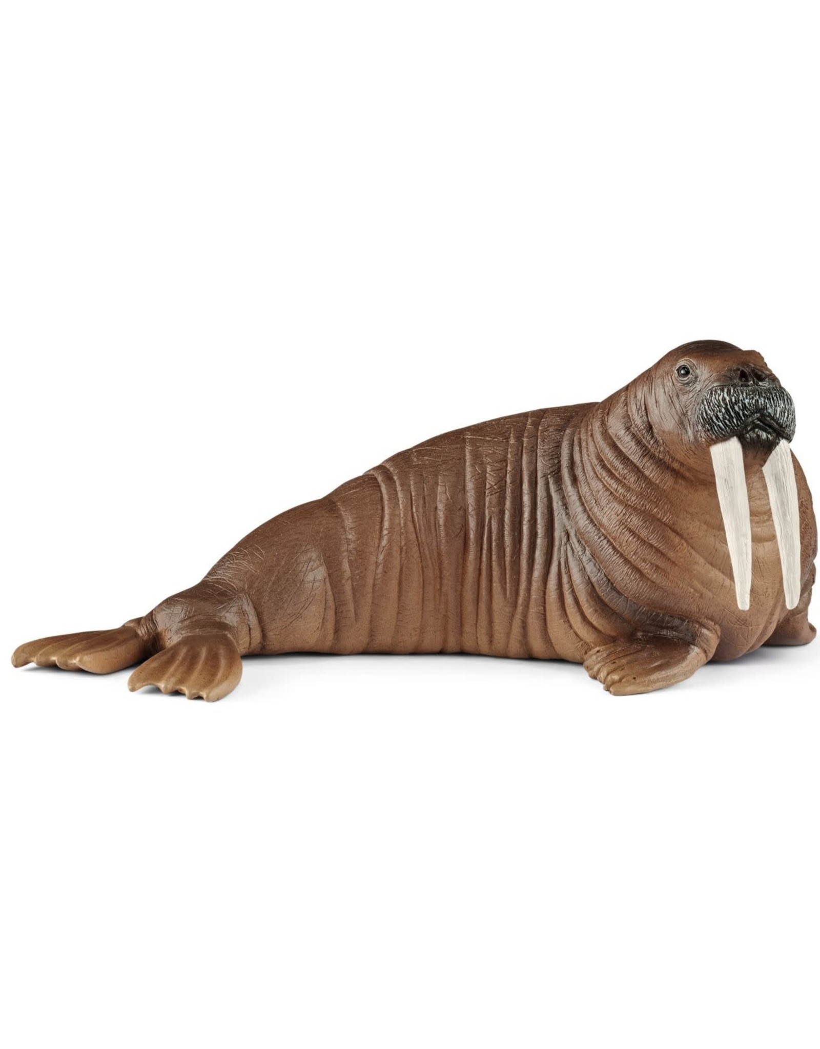 Schleich Schleich Wild Life 14803 Walrus