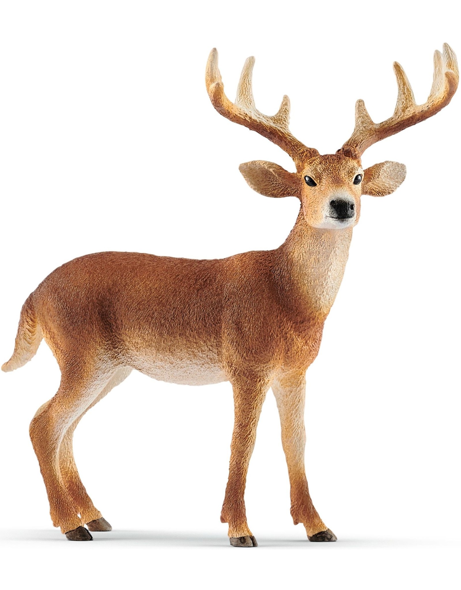 Schleich Schleich Wild Life 14818 Witstaart Hert