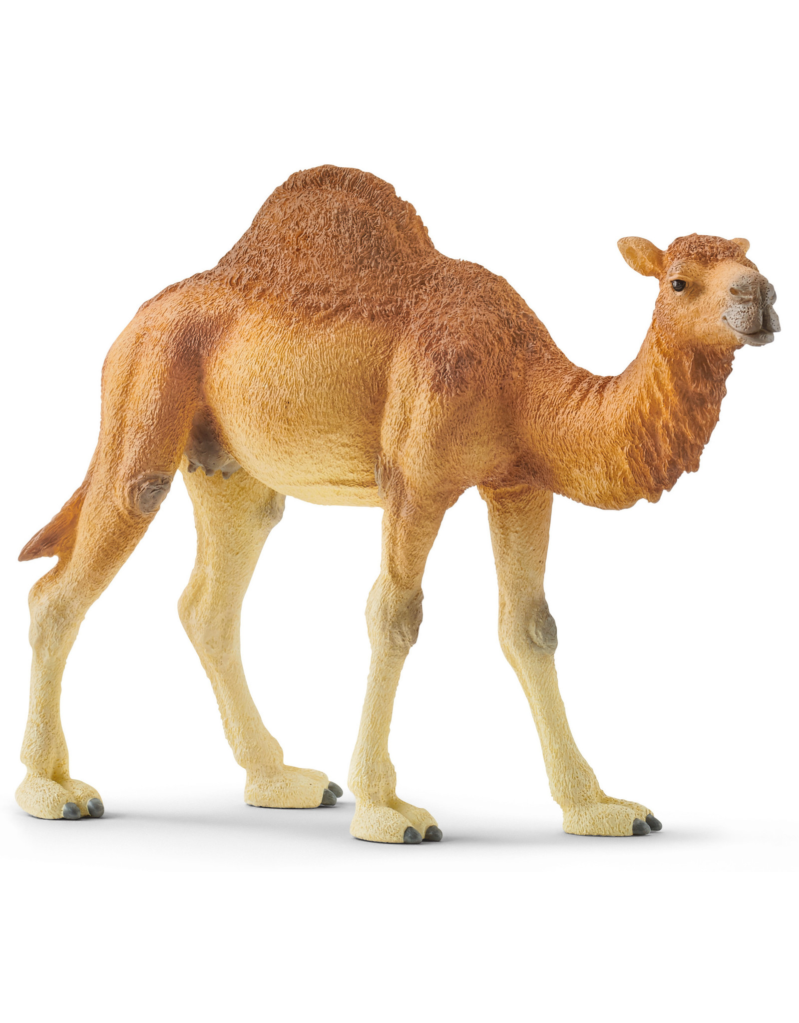 Schleich Schleich Wild Life 14832 Dromedaris