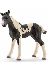 Schleich Schleich Horse Club 13803 Pinto Veulen Schleich Schleich Horse Club 13803 Pinto Veulen