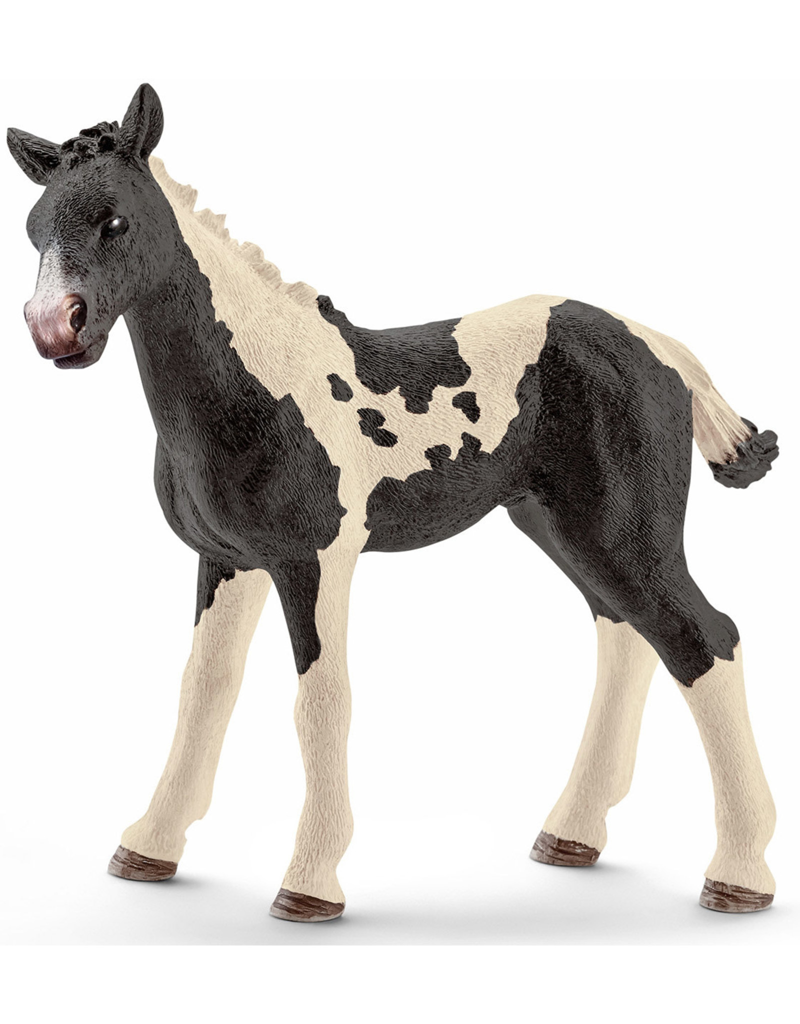 Schleich Schleich Horse Club 13803 Pinto Veulen