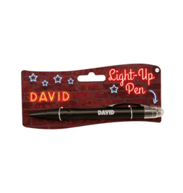 Paper Dreams Light Up Pen - David