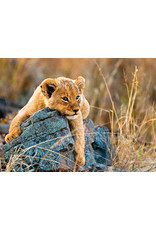 Ravensburger Ravensburger Puzzel 129461 Kleine Leeuw (200 XXL Stukjes) Ravensburger Ravensburger Puzzel 129461 Kleine Leeuw (200 XXL Stukjes)
