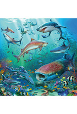 Ravensburger Ravensburger Puzzel 051496 Dieren in de Oceaan (3x49 Stukjes)