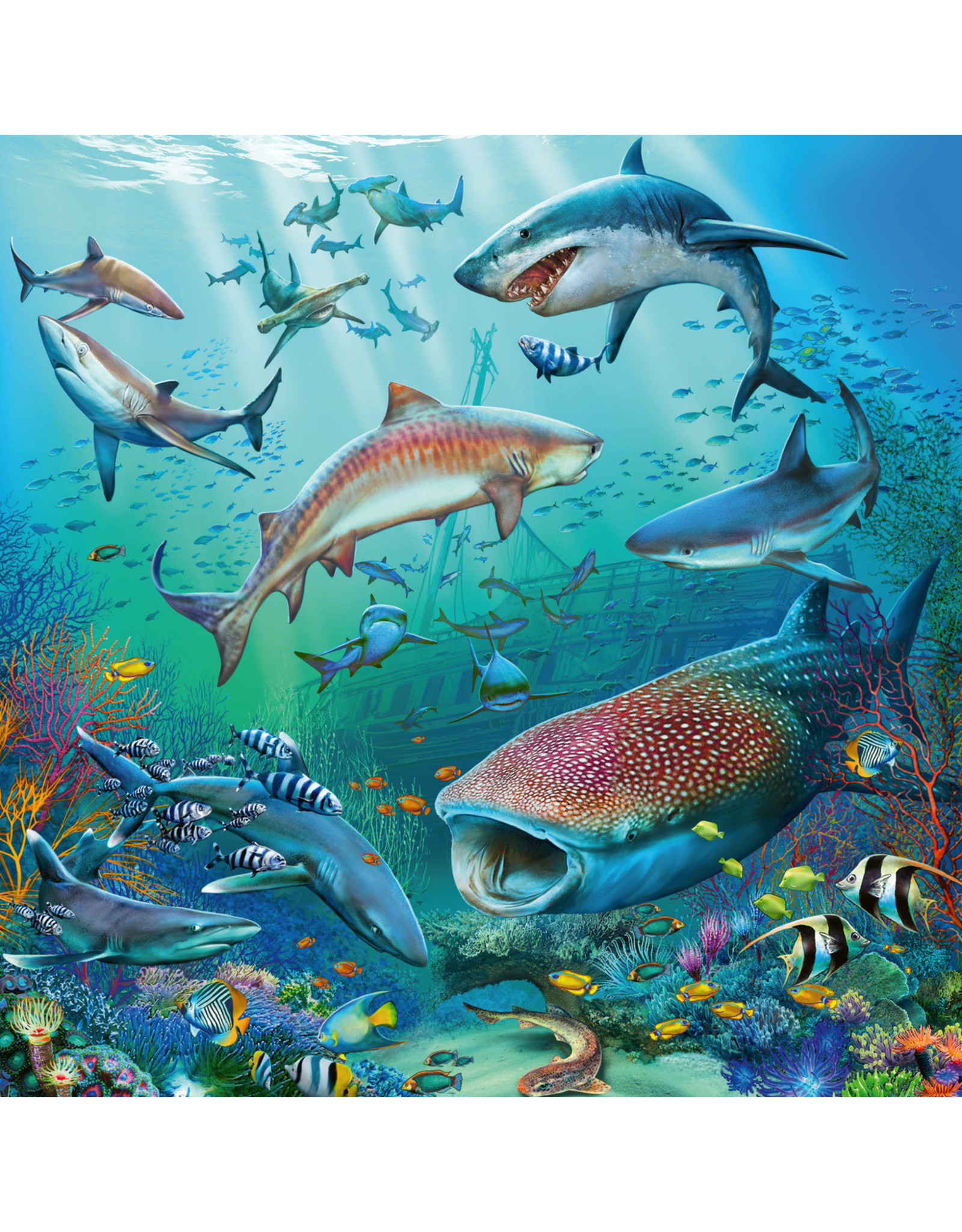 Ravensburger Ravensburger Puzzel 051496 Dieren in de Oceaan (3x49 Stukjes)