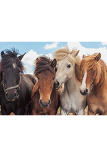 Ravensburger Ravensburger Puzzel 051489 Paardenliefde  (2x24 Stukjes) Ravensburger Ravensburger Puzzel 051489 Paardenliefde  (2x24 Stukjes)