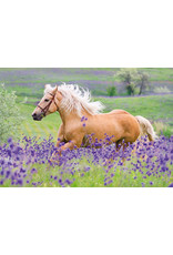 Ravensburger Ravensburger Puzzel 051489 Paardenliefde  (2x24 Stukjes)