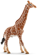 Schleich Schleich Wild Life 14749 Giraf, Man