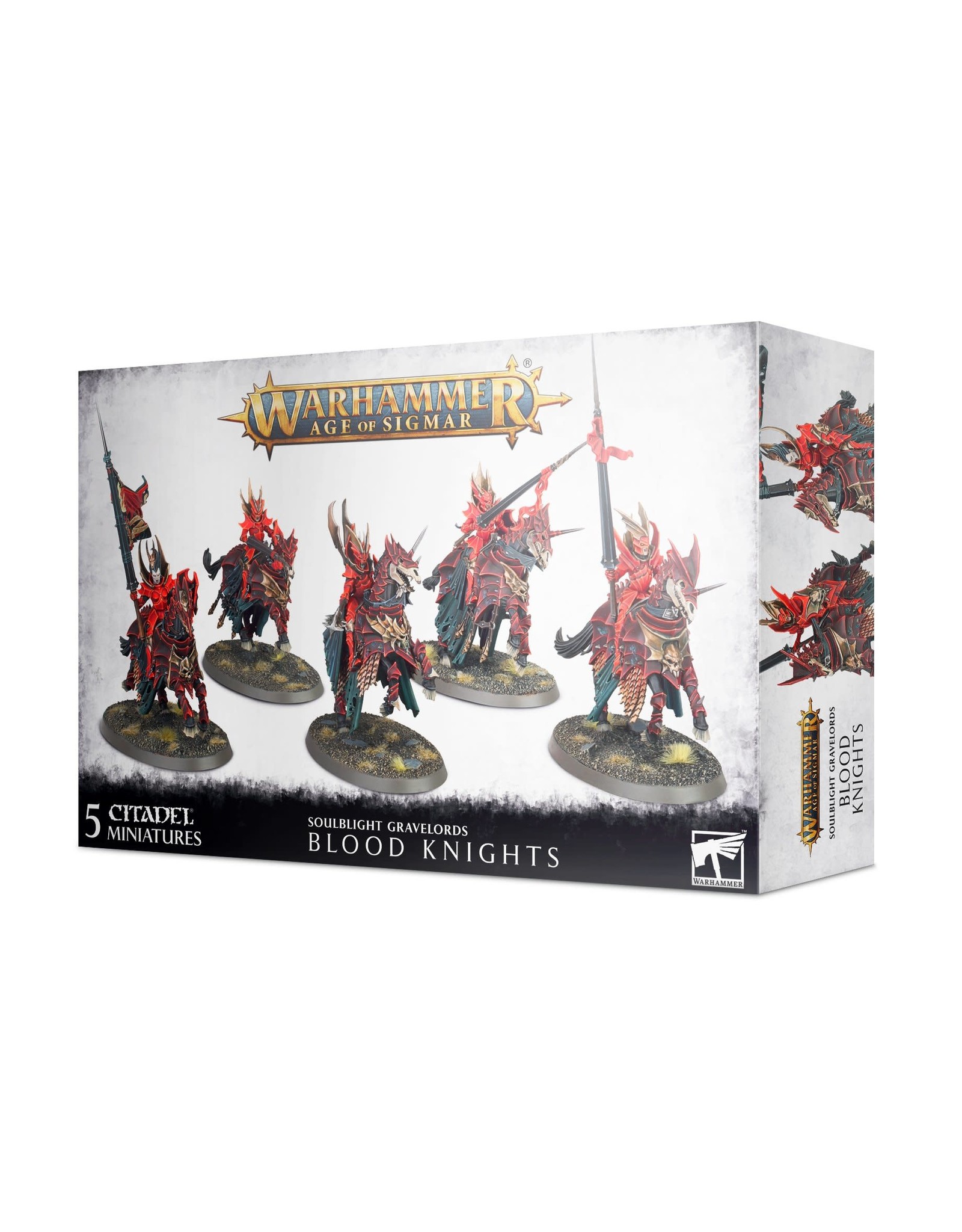 Warhammer Age of Sigmar Soulblight Gravelords: Blood Knights