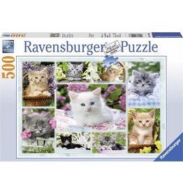 Ravensburger Ravensburger Puzzel 141968 Poesjes in hun Mandje 500