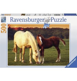 Ravensburger Ravensburger Puzzel 143474 Mooie Paarden 500 stukjes