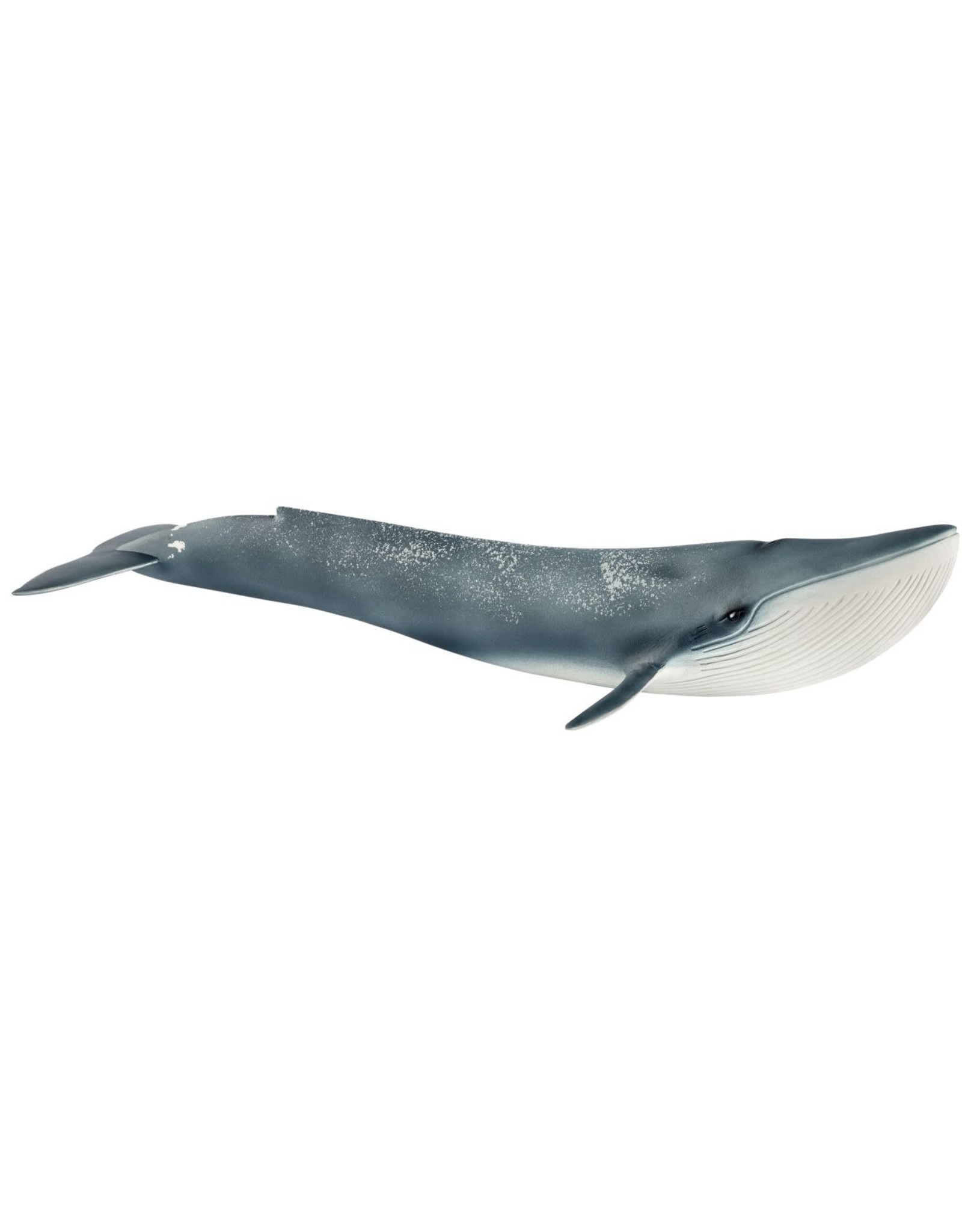 Schleich Schleich Wild Life 14806 Blauwe Walvis