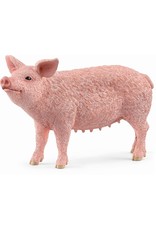 Schleich Schleich Farm World 13933 Varken