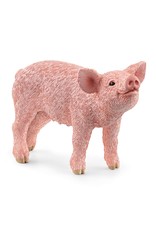 Schleich Schleich Farm World 13934 Big