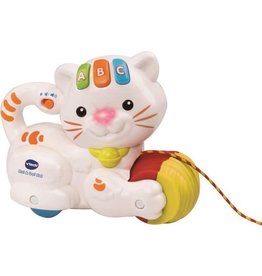 Vtech Rol & Dol Kat