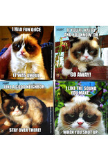 Puzzel  Grumpy Cat - 100 Stukjes