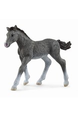Schleich Schleich Horse Club 13944 Trakehner Veulen Schleich Schleich Horse Club 13944 Trakehner Veulen