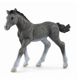 Schleich Schleich Horse Club 13944 Trakehner Veulen