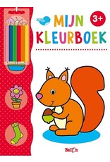 Mijn Kleurboek met Kleurpotloodjes 3+