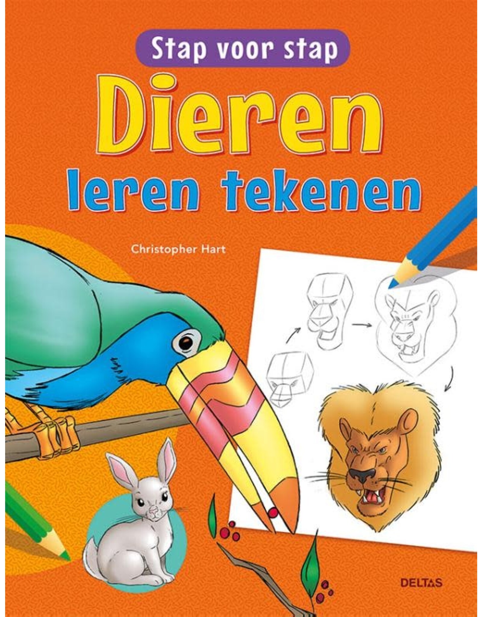 Stap Voor Stap Dieren Leren Tekenen