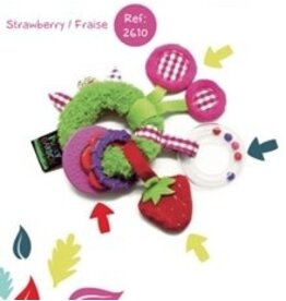 Funky Garden Activiteitenring Aardbei