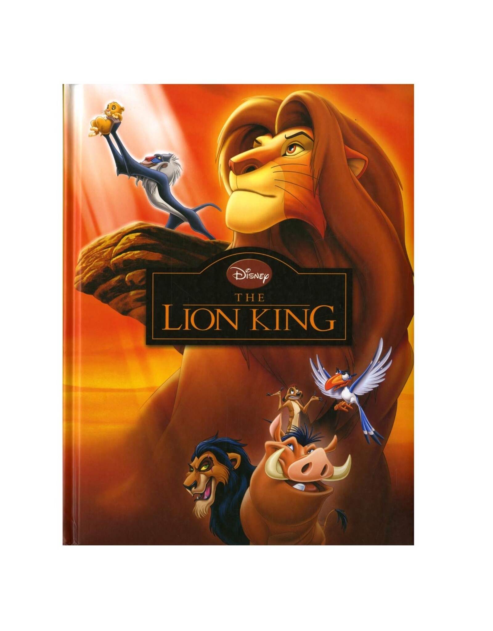 Disney (Voor)Leesboek: Lion King