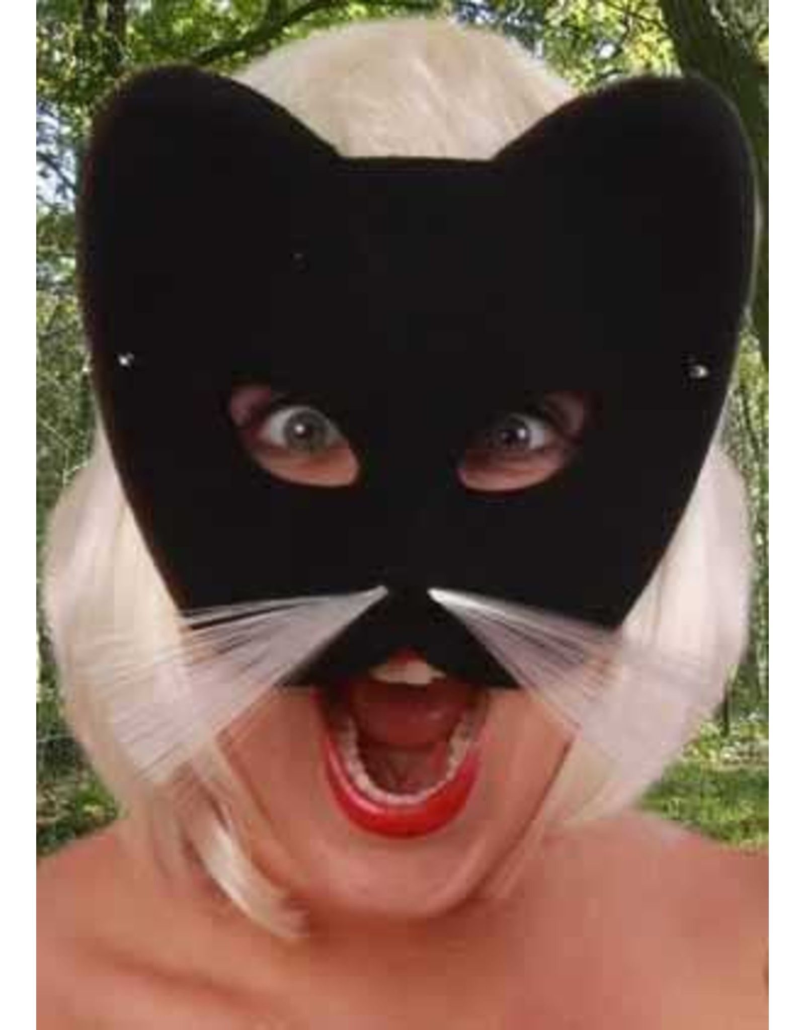 Oog halfmasker kat zwart