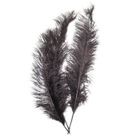 Spadonis veren zwart (Piet veren) ± 50cm