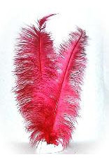 Spadonis veren rood (Piet veren) ± 50cm