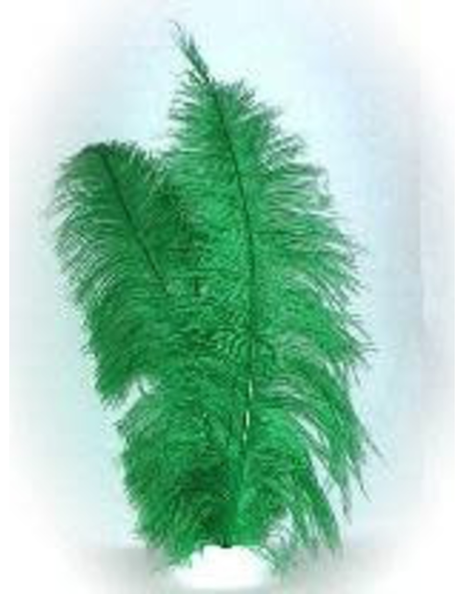 Spadonis veren groen (Piet veren) ± 50cm