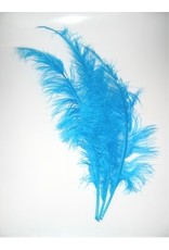 Spadonis veren turquoise (Piet veren) ± 50cm