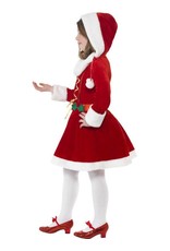 Kleine Miss Santa kostuum