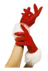 Kerst Handschoenen